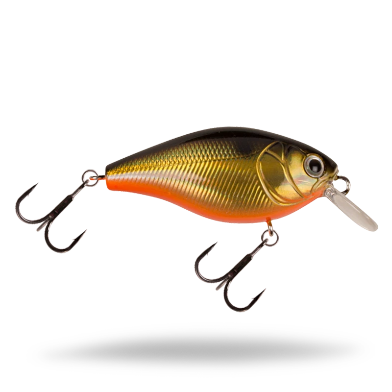 Golden Shiner