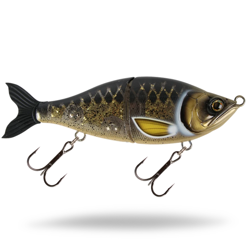 Spotted Bullhead