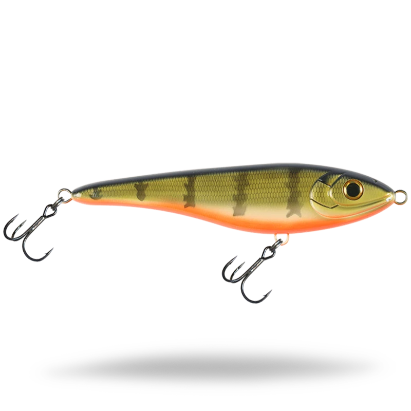 Baby Perch