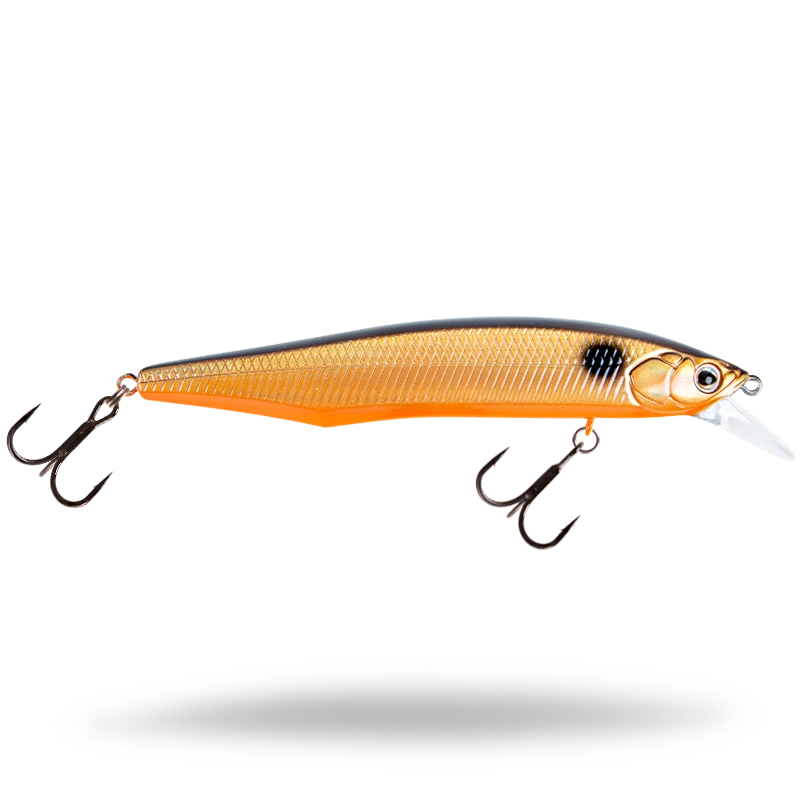 Golden Shiner
