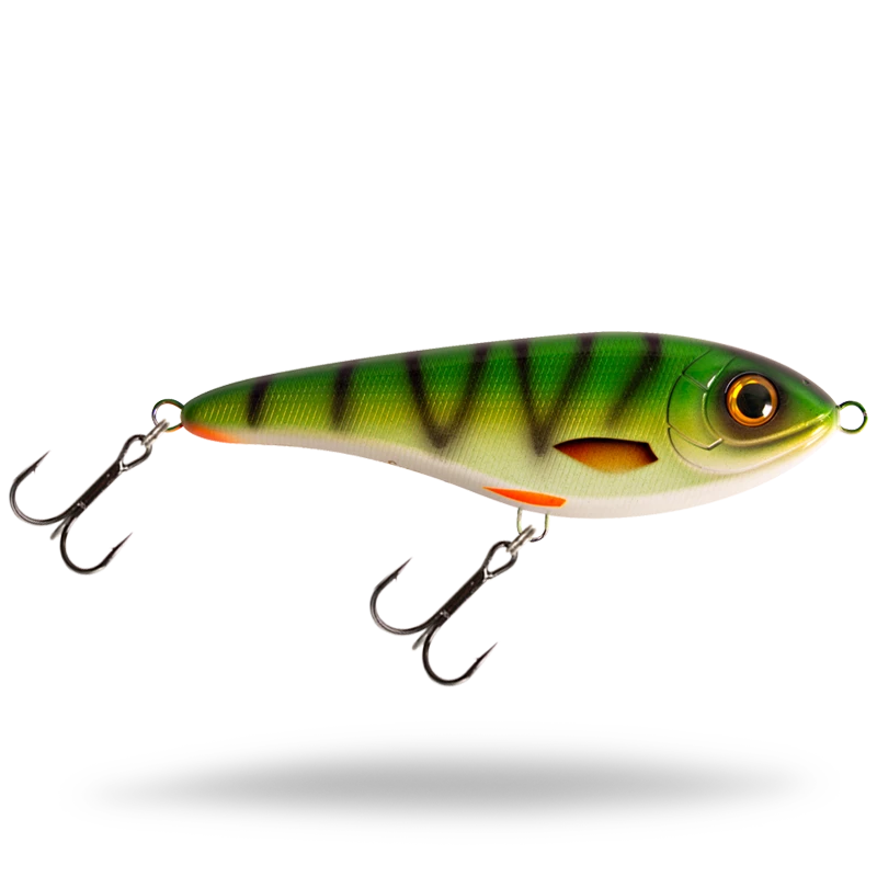 Yellow Perch