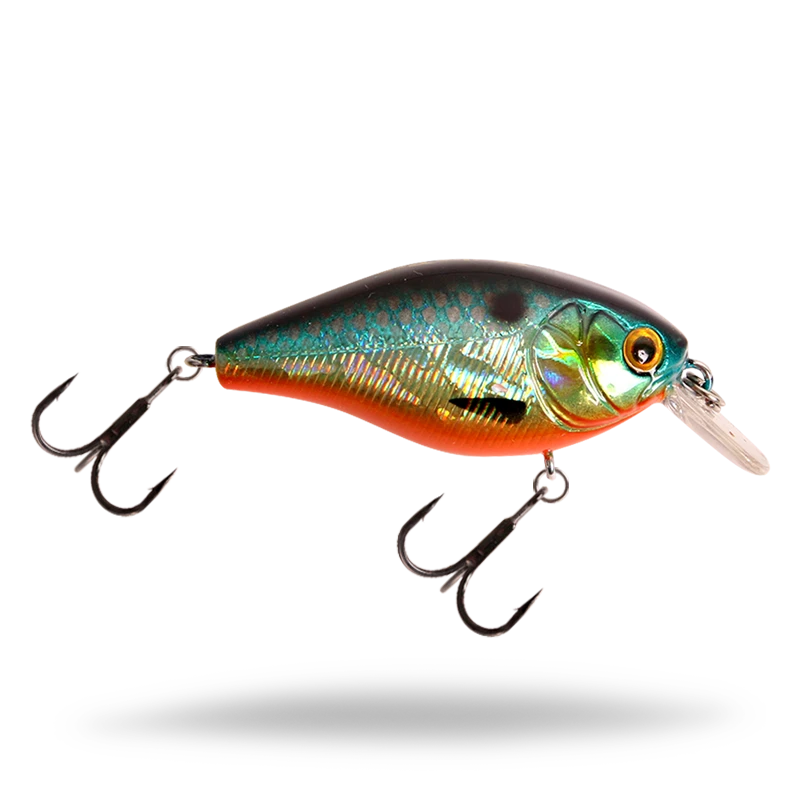 OB Roach