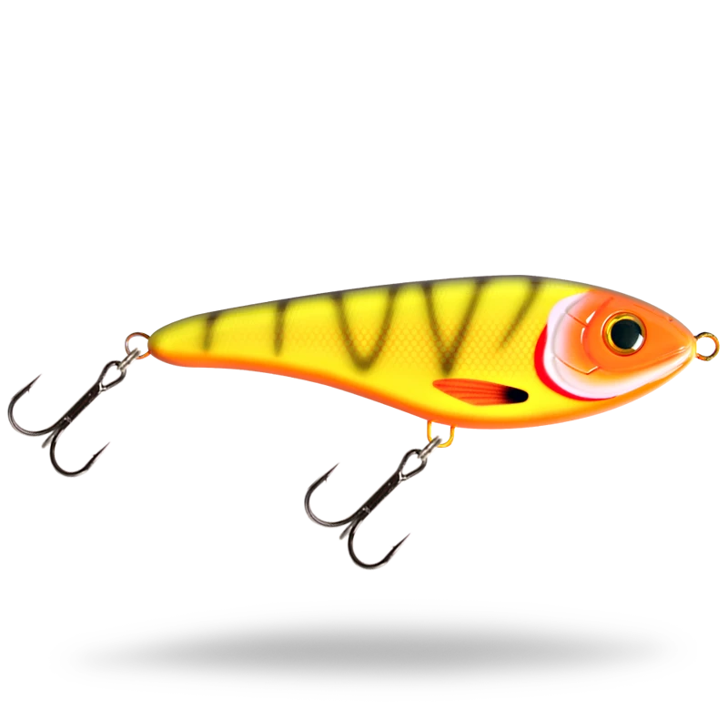 Neon Tiger Tetra