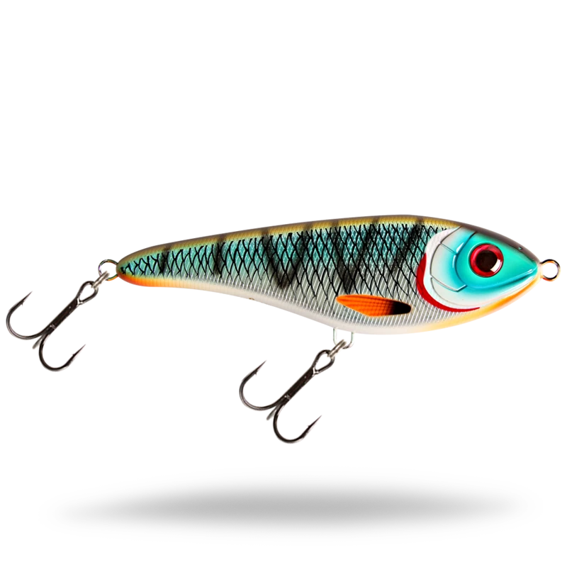Tiger Cichlid