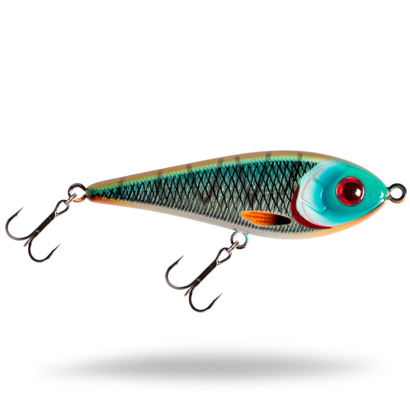 Tiger Cichlid