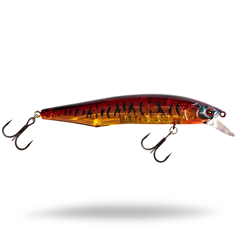 Spice Shad