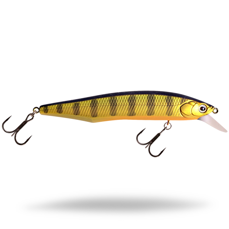 Golden Perch
