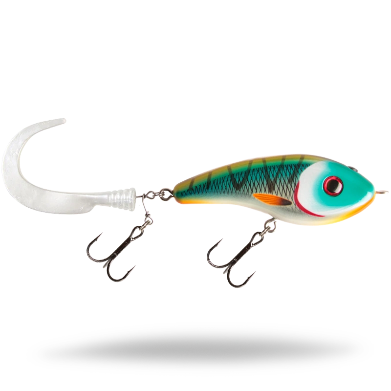 Tiger Cichlid - Pearl White