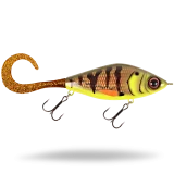 Lemon Perch - MOG