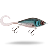 Blue Oyster - WHI