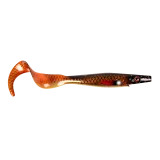 Copper Carp